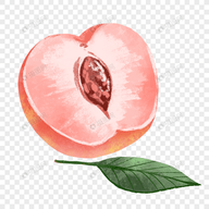 WWW,664av·COM网站APPAPP应用