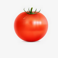 WWW,se940·COM网站APP